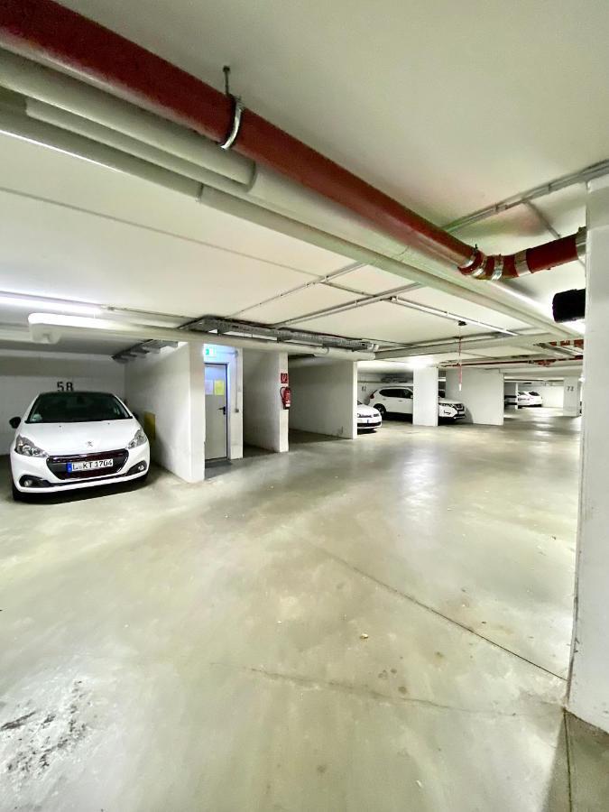 Wohlfuehl-Apartment Mit Kostenfreier Tiefgarage, Wifi & Terrasse لبسيا المظهر الخارجي الصورة